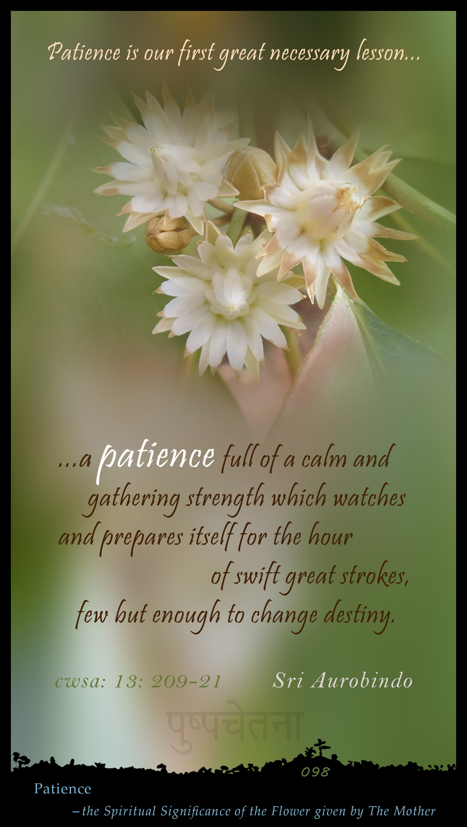 Patience